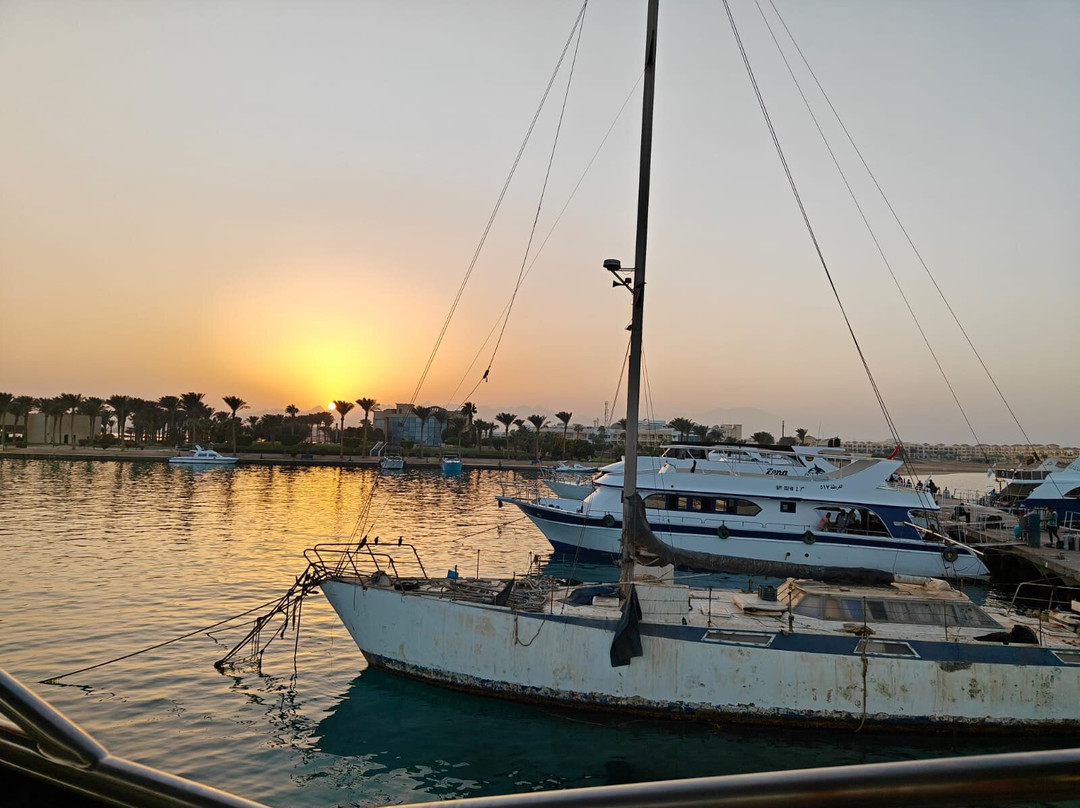 Chill tours-Port Safaga必去景点