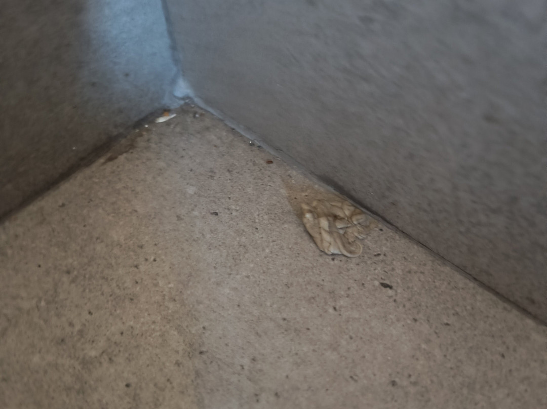 Fiesta Inn Express Hermosillo主图