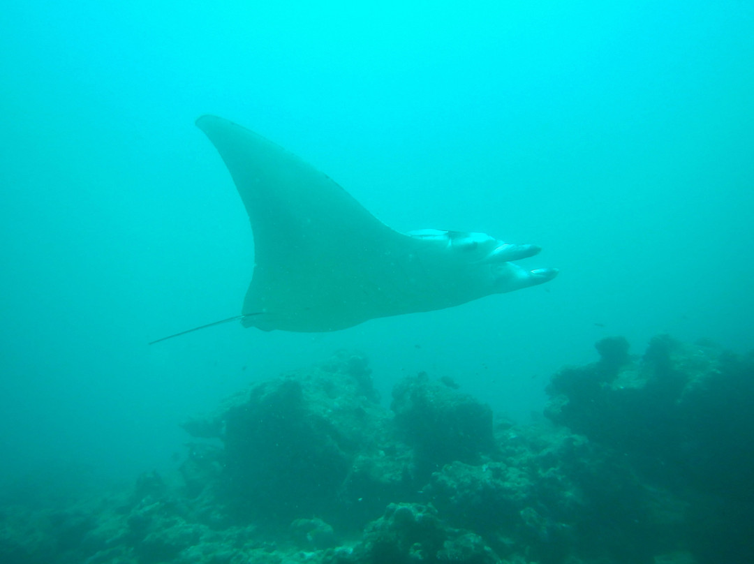Himmafushi Scuba Adventure-Himmafushi Island必去景点