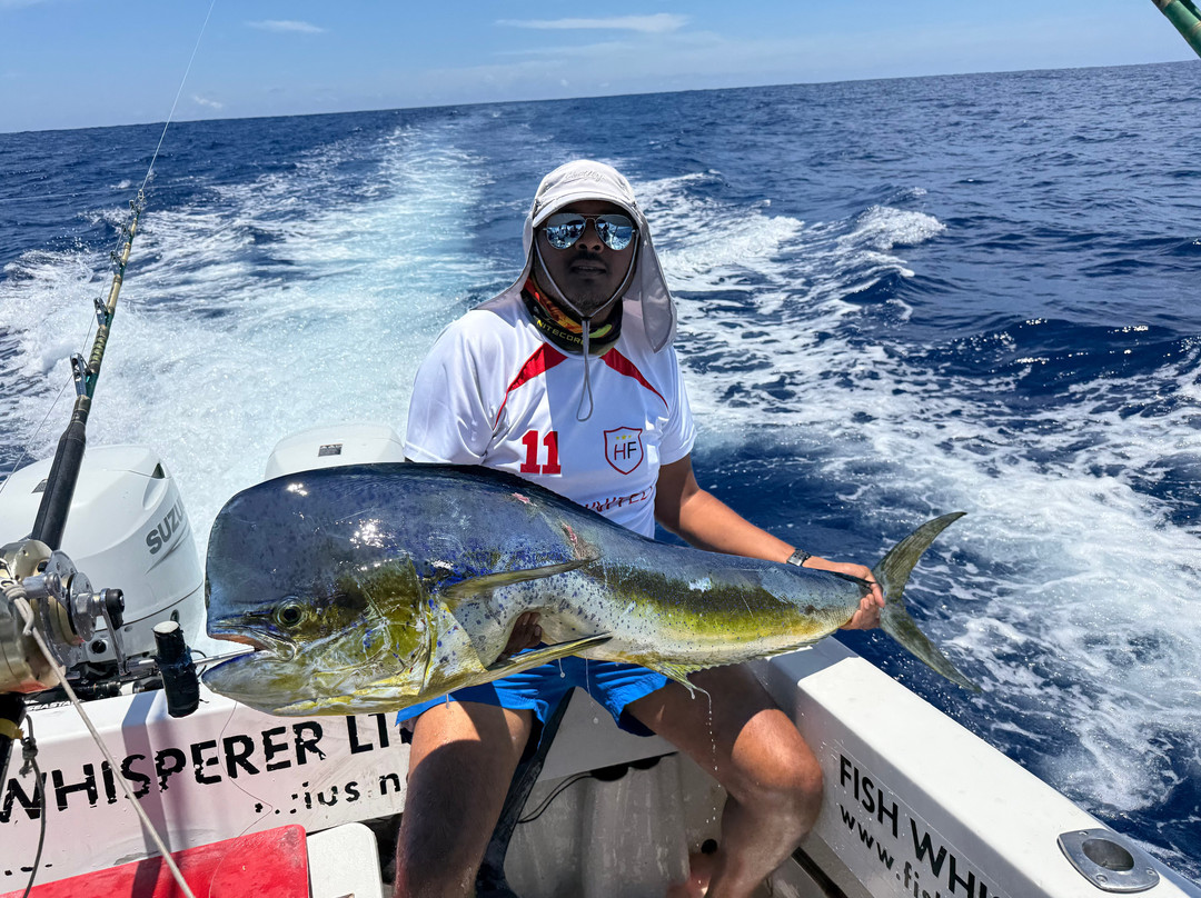 Fish Whisperer-黑河必去景点