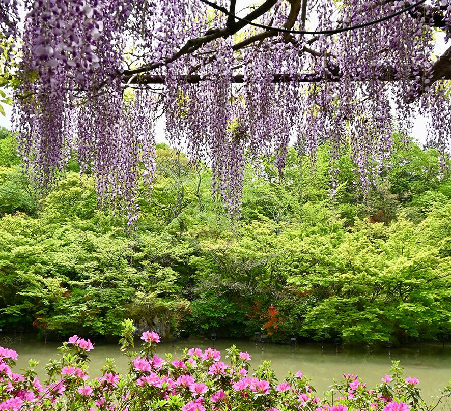 Mifuneyama Rakuen-武雄市必去景点