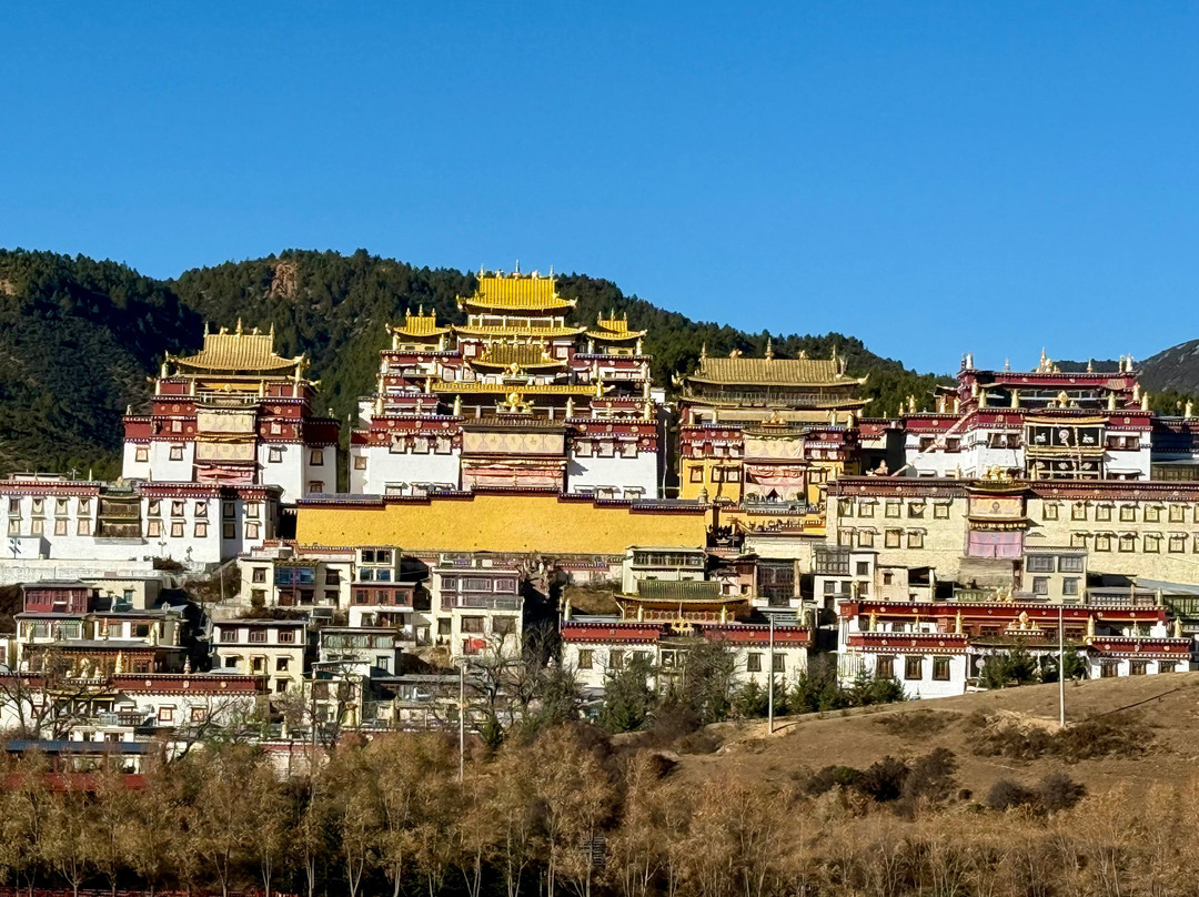 China Discovery-成都必去景点