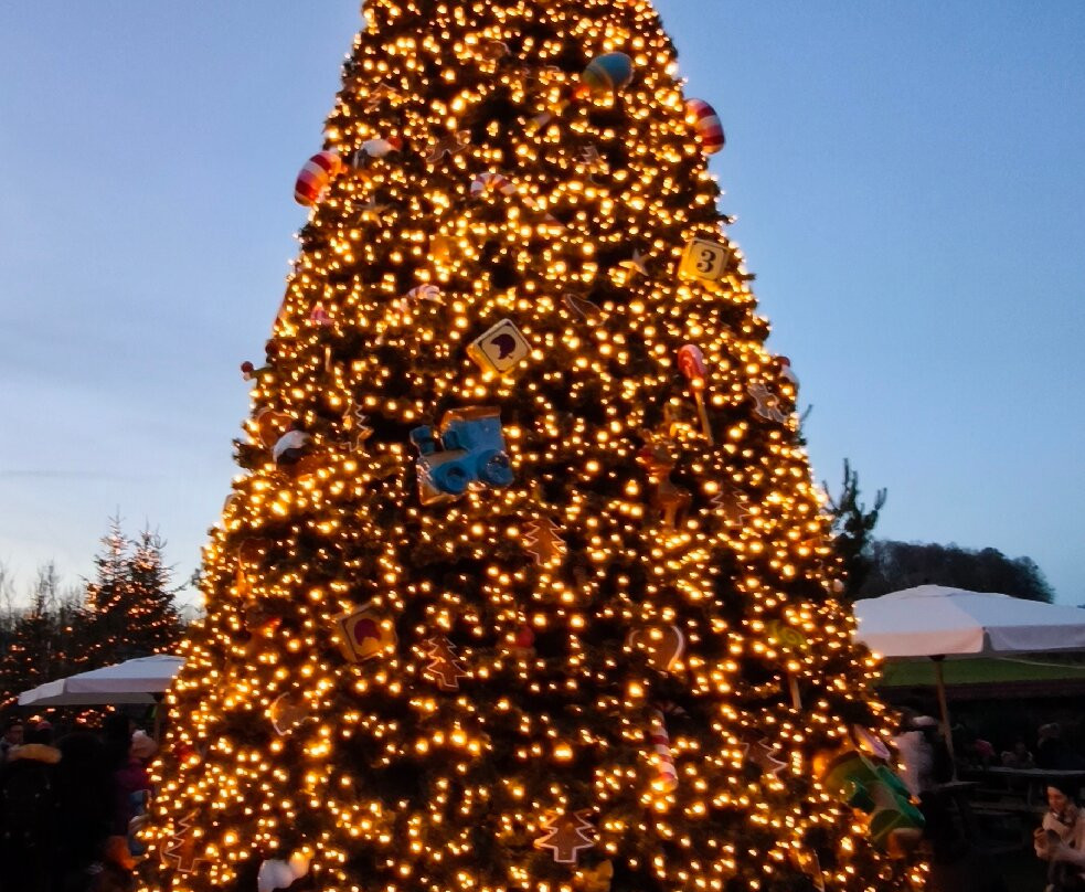 Le Grand Parc D'andilly Ete/hiver-Andilly必去景点