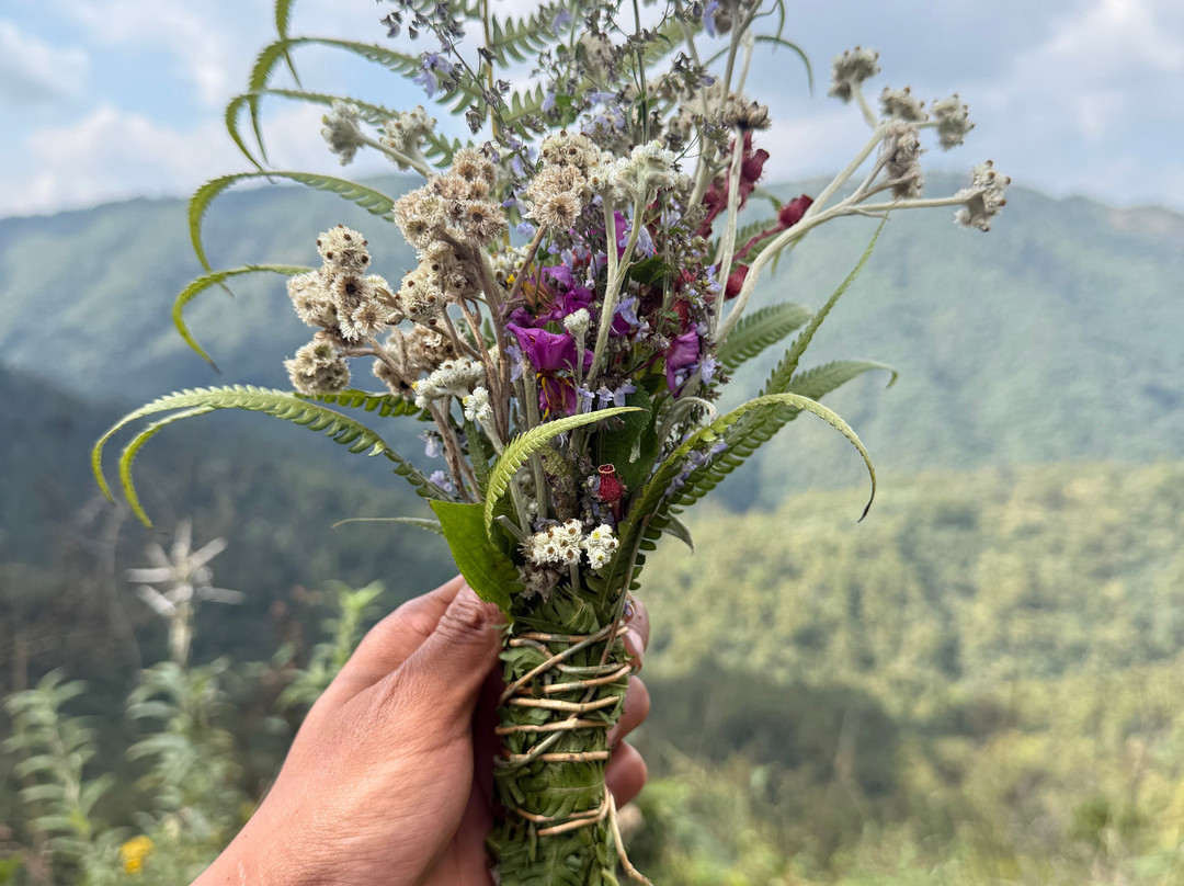 David Scott Trail-Mawphlang必去景点