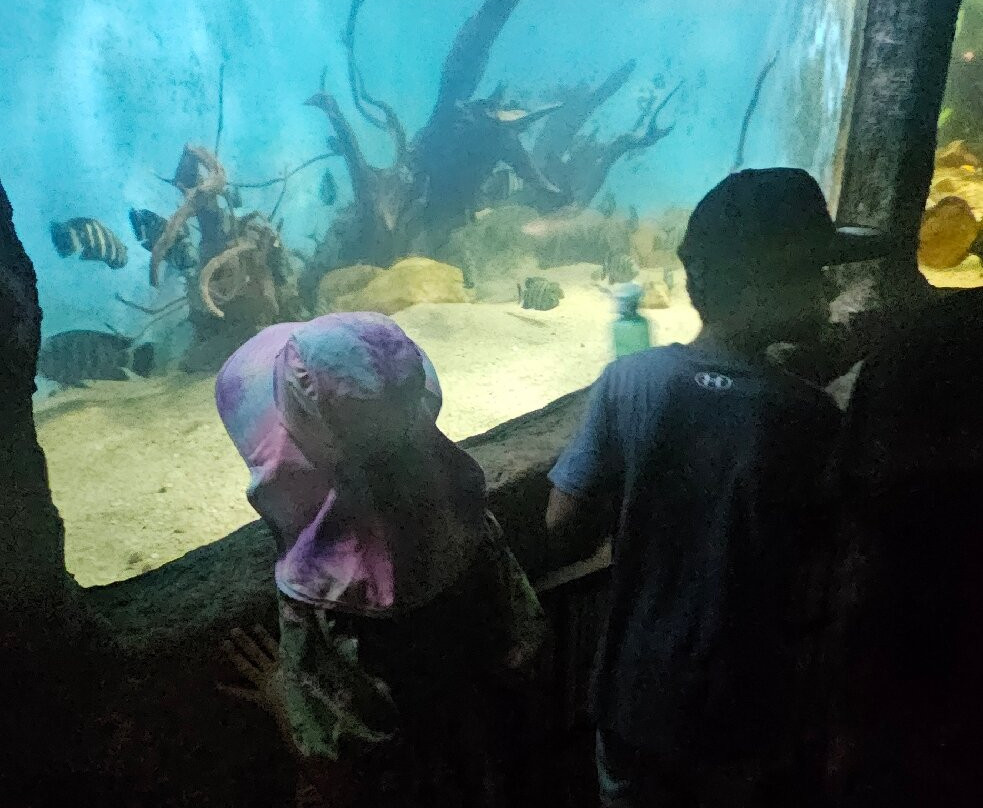 National Zoological Gardens of Sri Lanka-拉非尼亚山必去景点