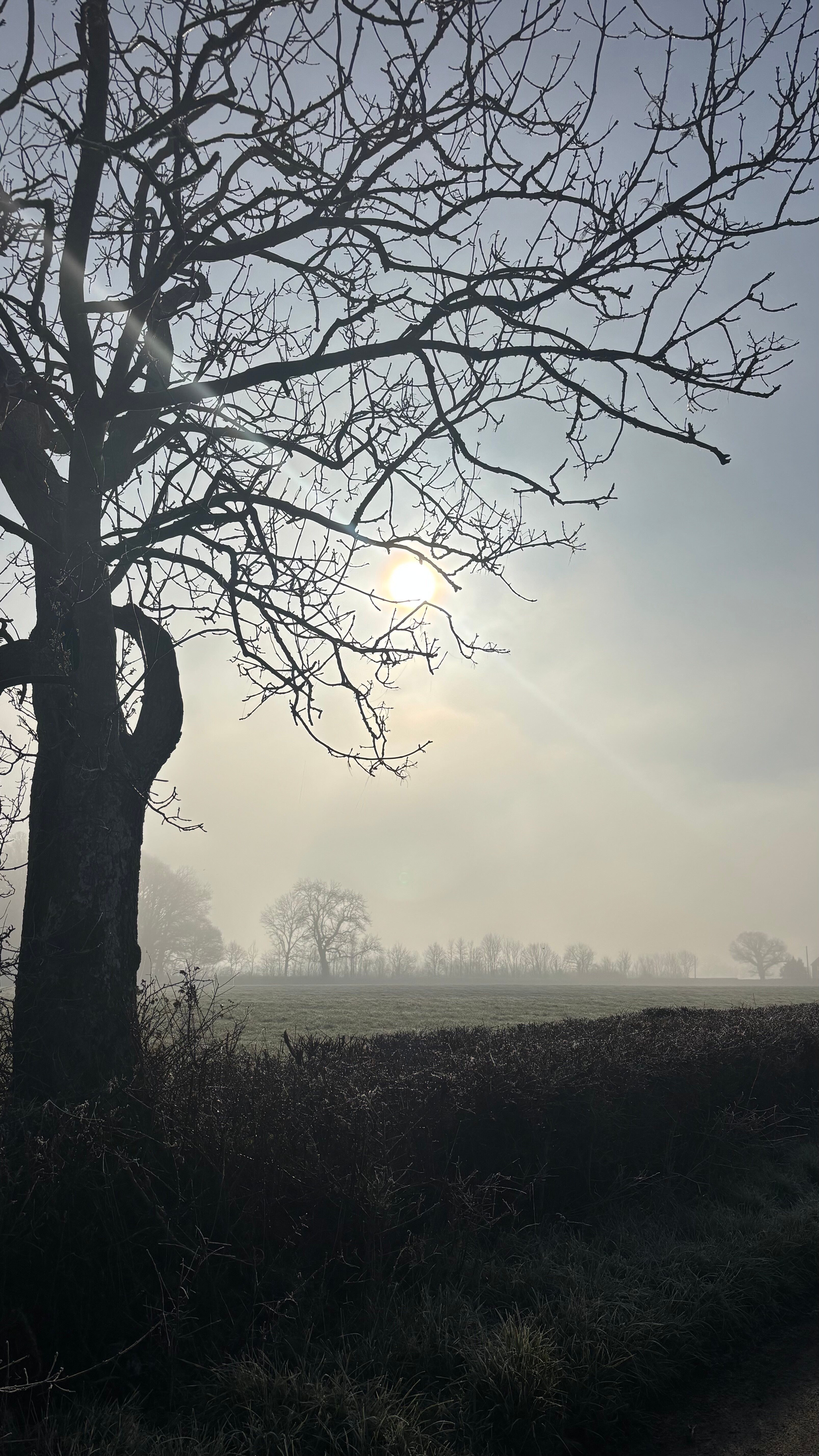 Middle Piccadilly Rural Retreat-浴室