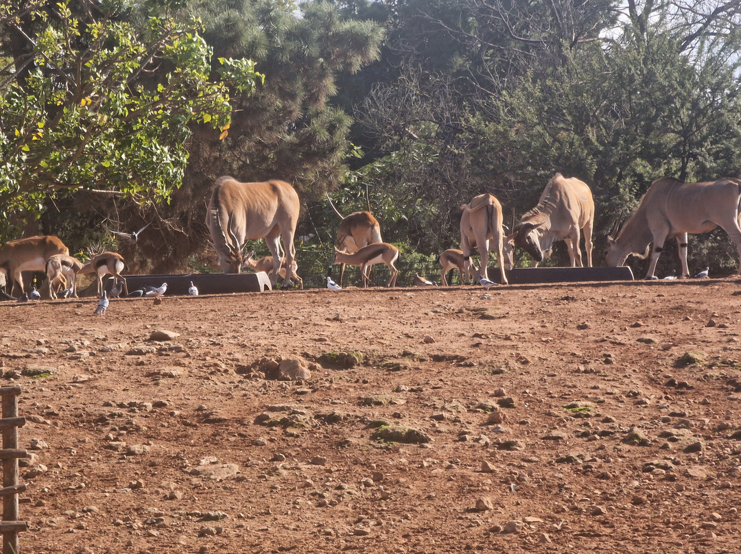 Jardin Zoologique de Rabat-拉巴特必去景点