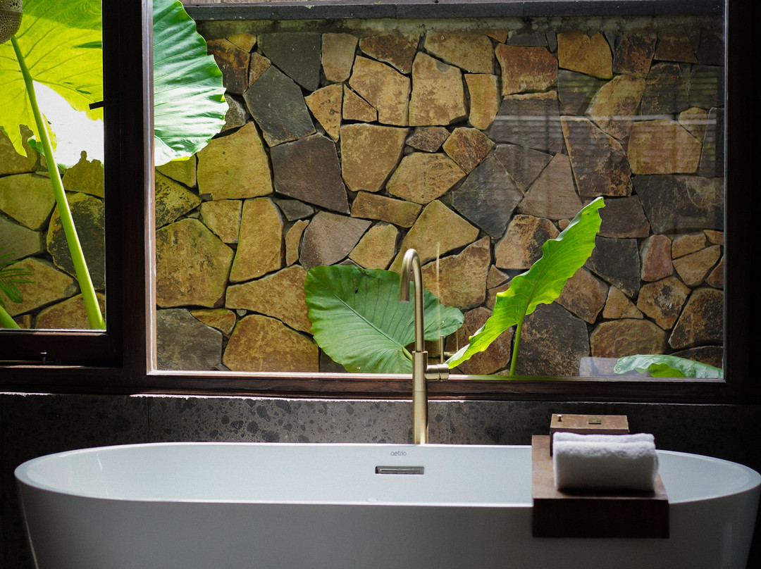 萨曼瓦亚酒店主图