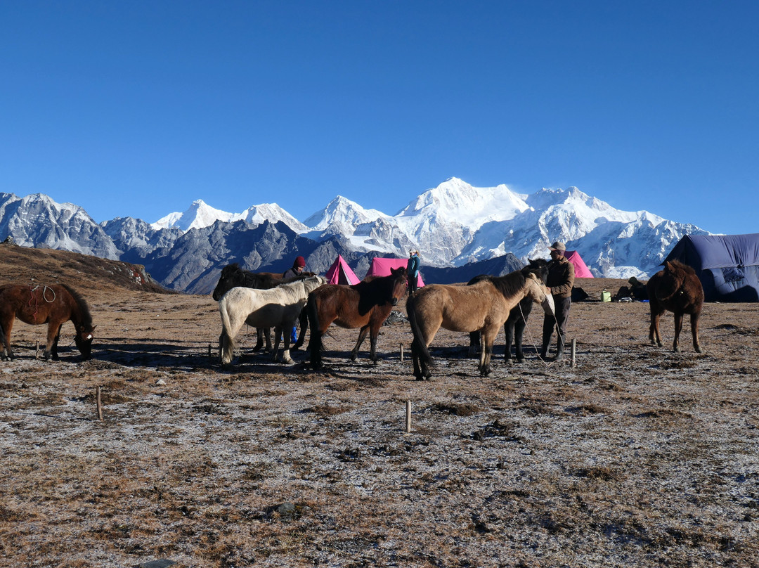 Glacier Trek and Adventure-Yuksom必去景点