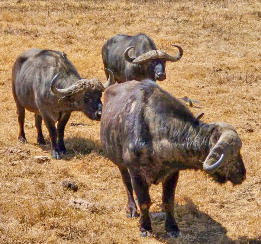 Mamnana Adventures-Olasiti必去景点