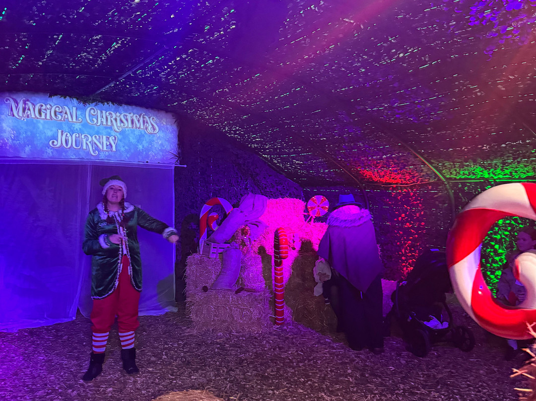 Mini Meadows Farm-Welford必去景点