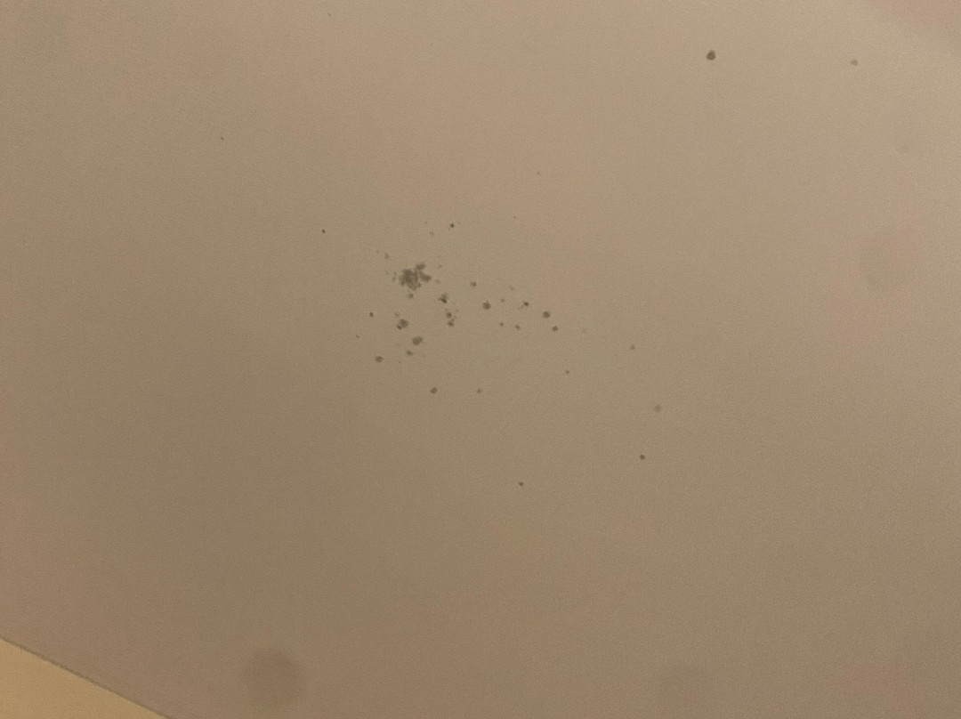 Premier Inn Weymouth Hotel主图