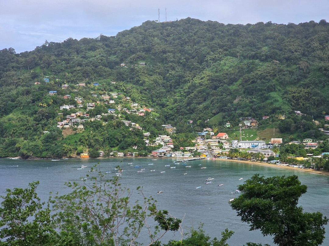 Dennison's Tourguiding Services-斯卡伯勒必去景点