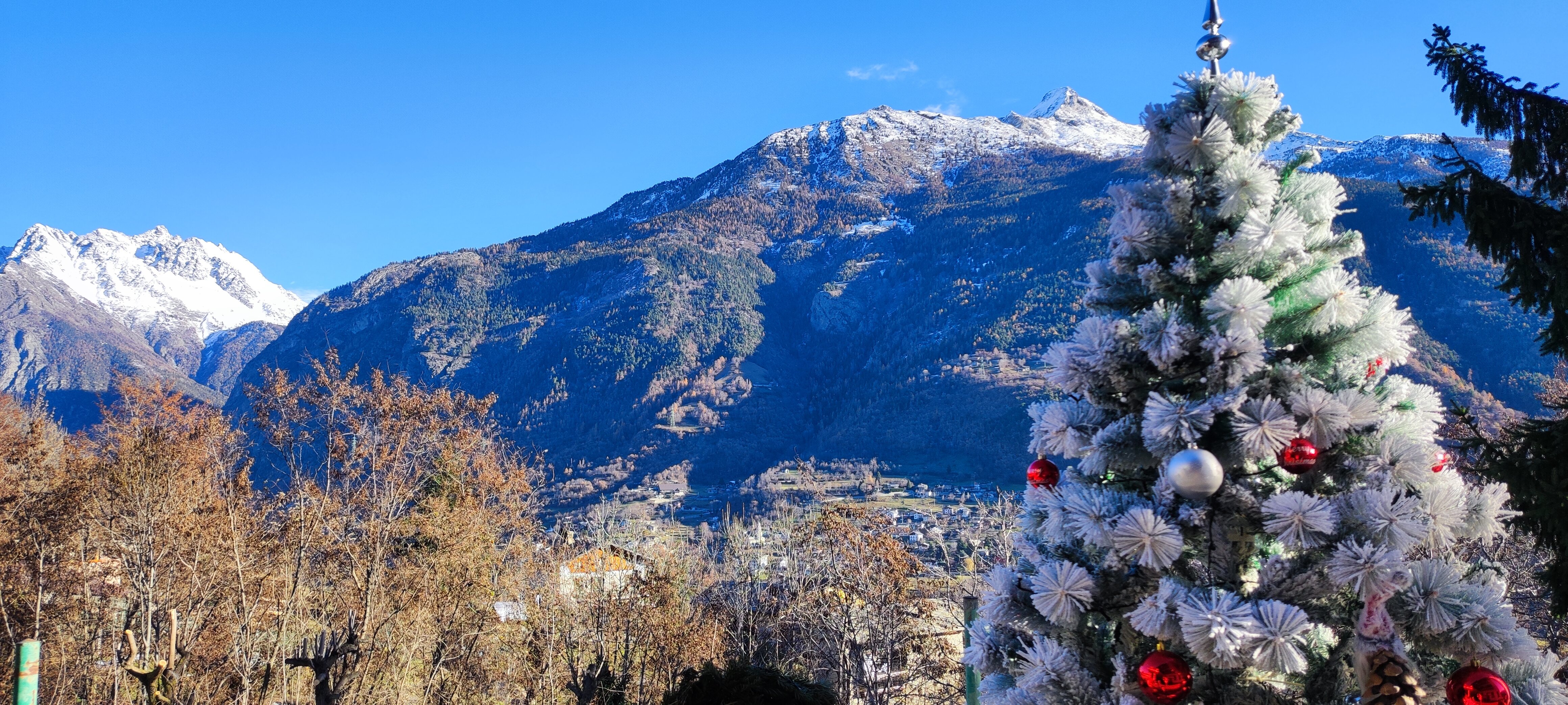 Hotel Bellevue-官方