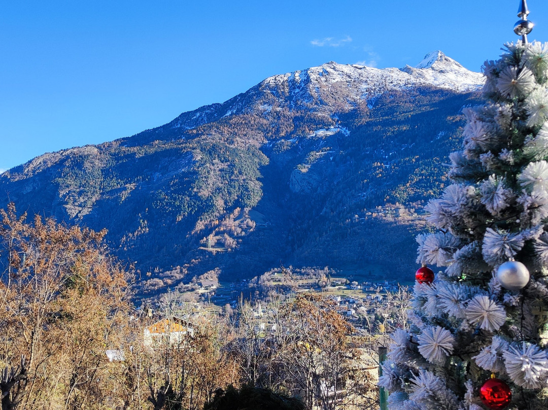 Hotel Bellevue主图