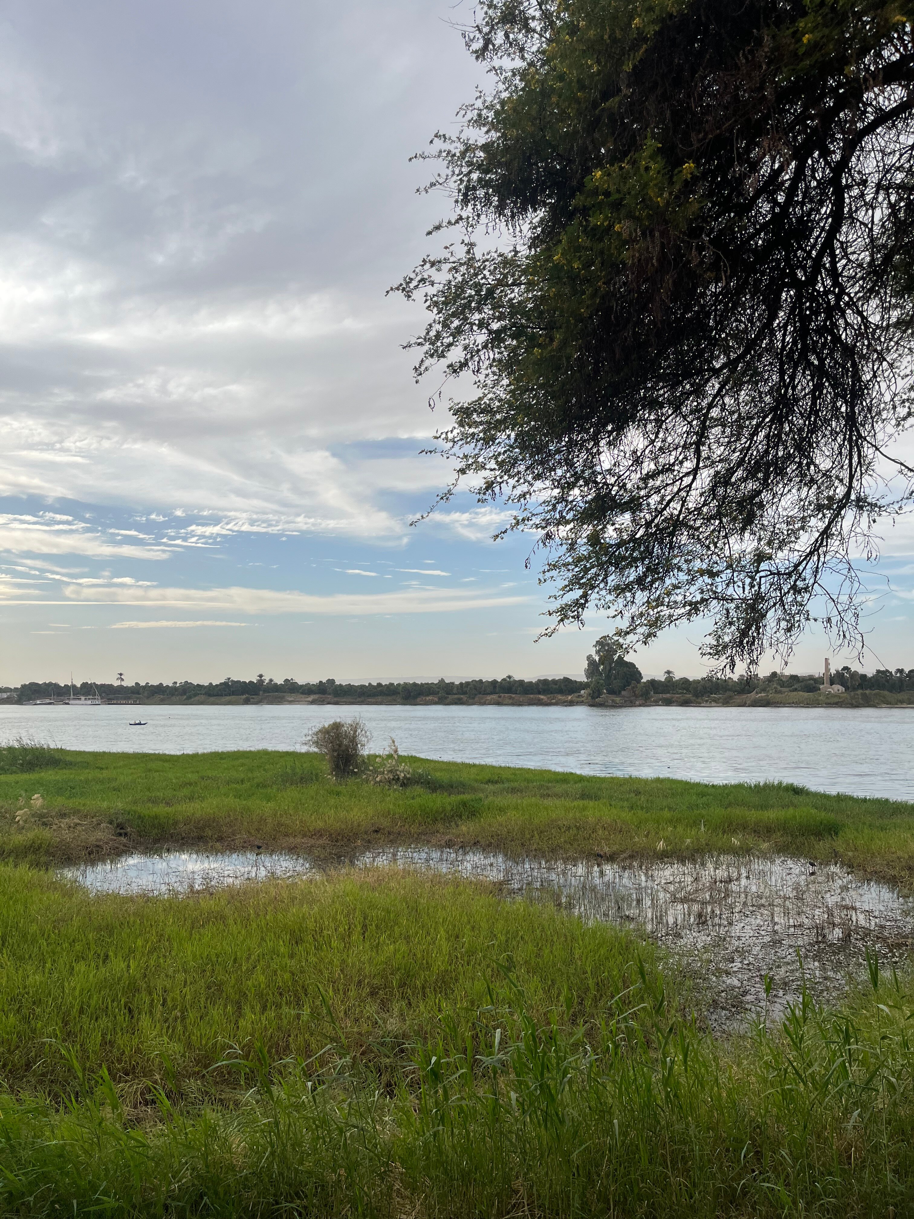 玛丽蒂姆卢克索酒店-官方