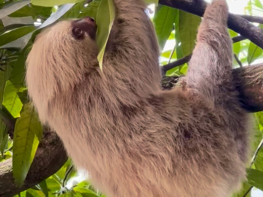 Piko Travel-艾拉杜拉必去景点