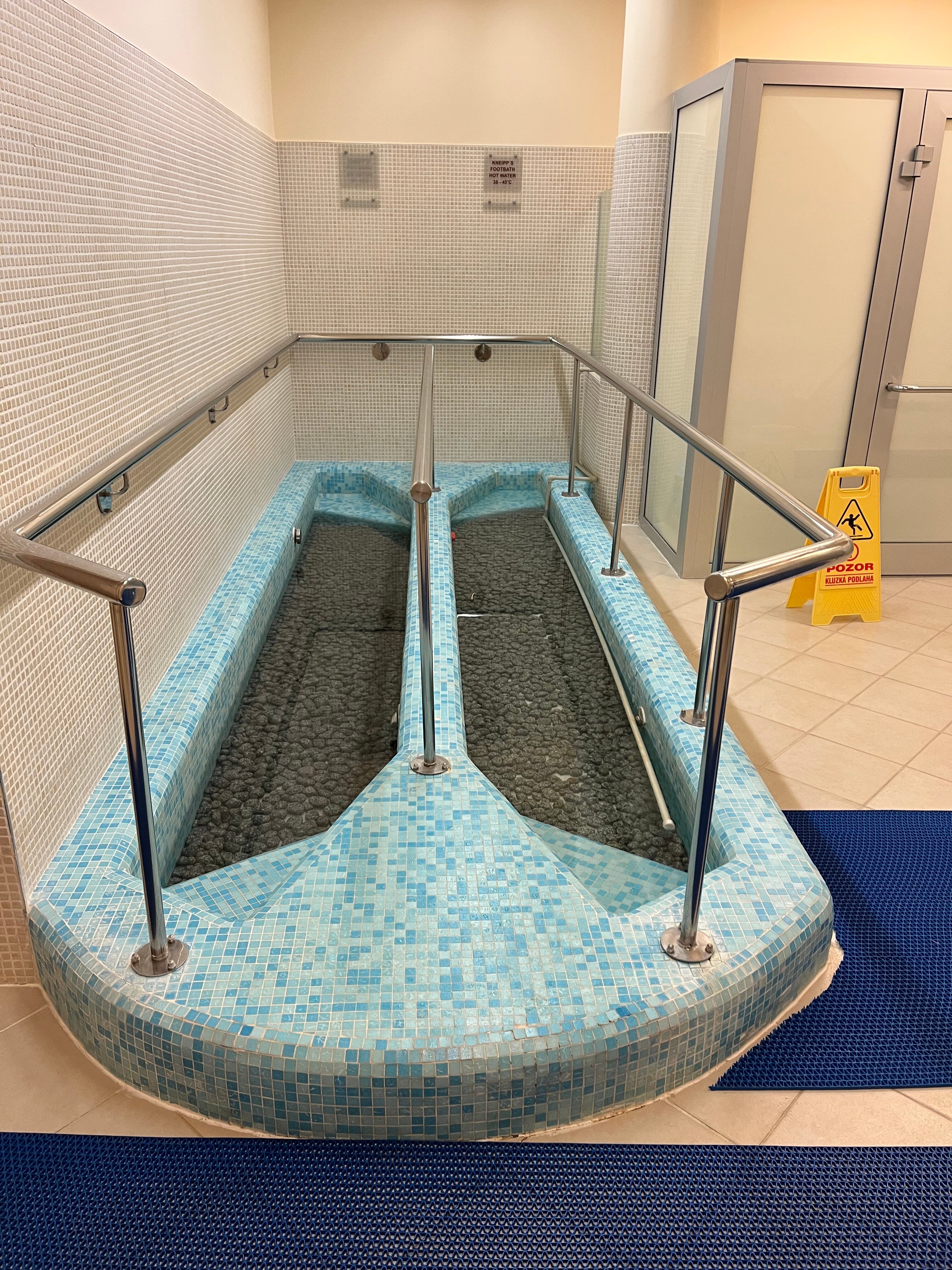 西区萨沃伊酒店-泳池