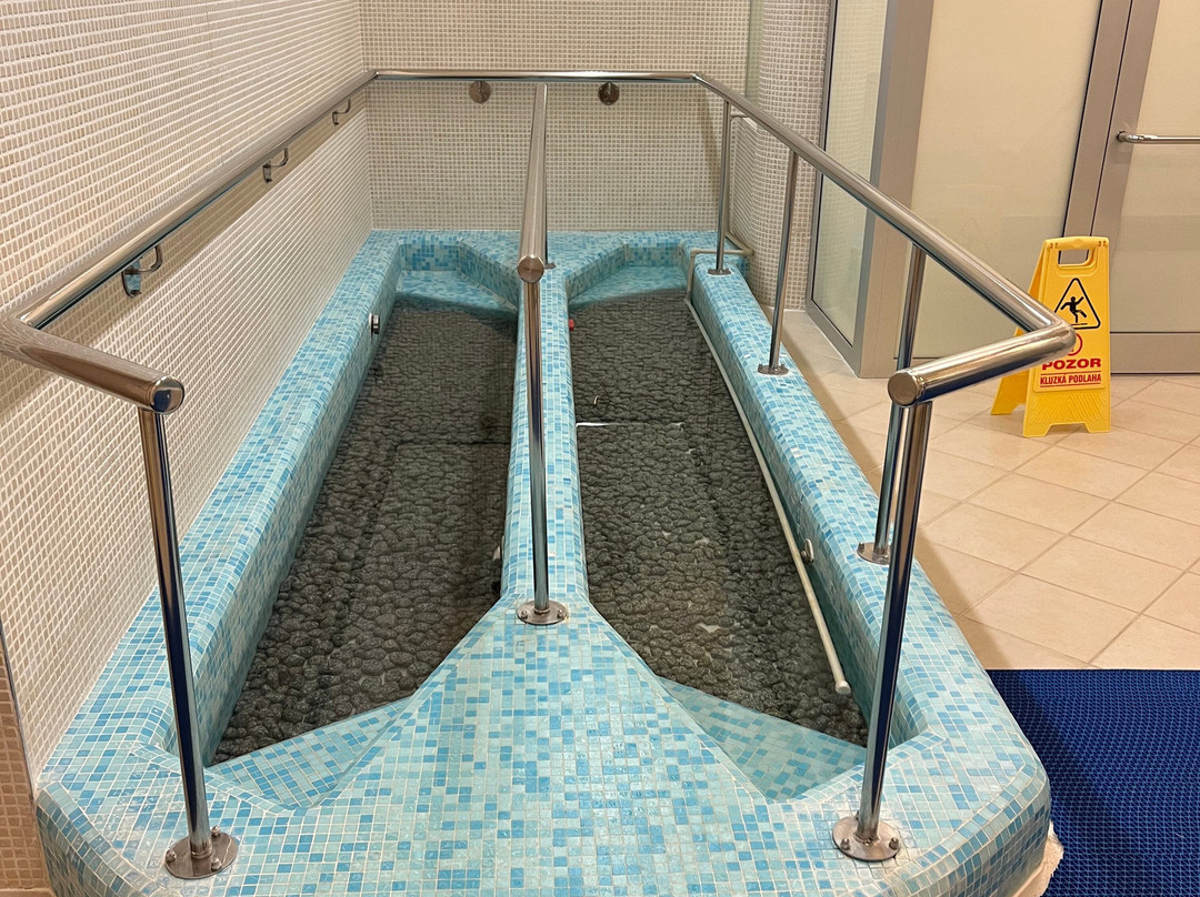 西区萨沃伊酒店主图