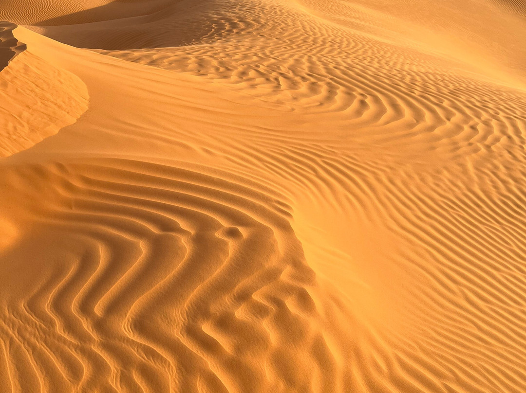 GSA-VOYAGES - Grand Sahara Aventures-杰尔巴岛必去景点