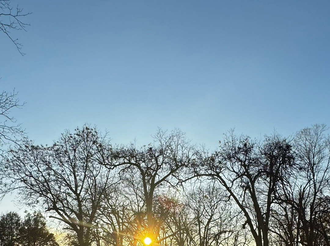 Lake Chicot State Park-Lake Village必去景点