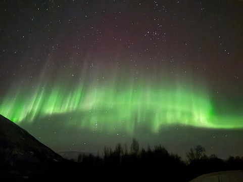Arctic World Tromso-特罗姆瑟必去景点