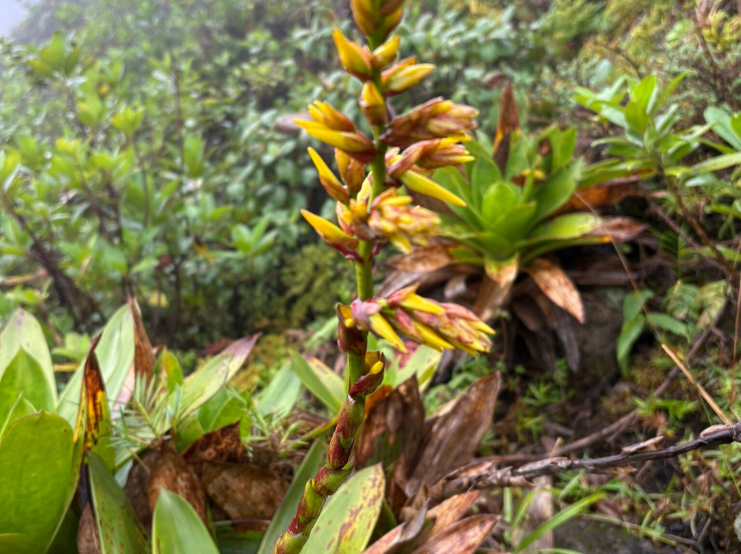 Vert Intense-Saint-Claude必去景点