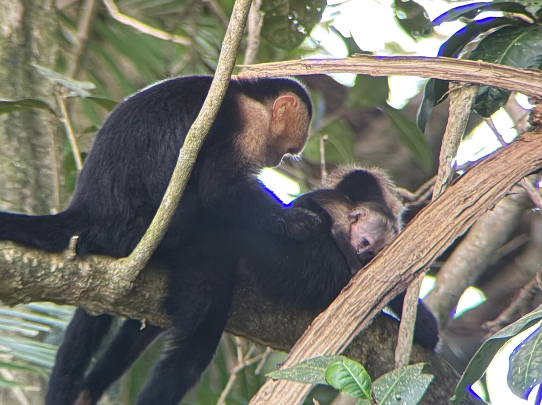 0S3 Private Tours-哈科必去景点