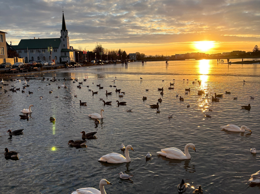Lake Tjornin-雷克雅未克必去景点
