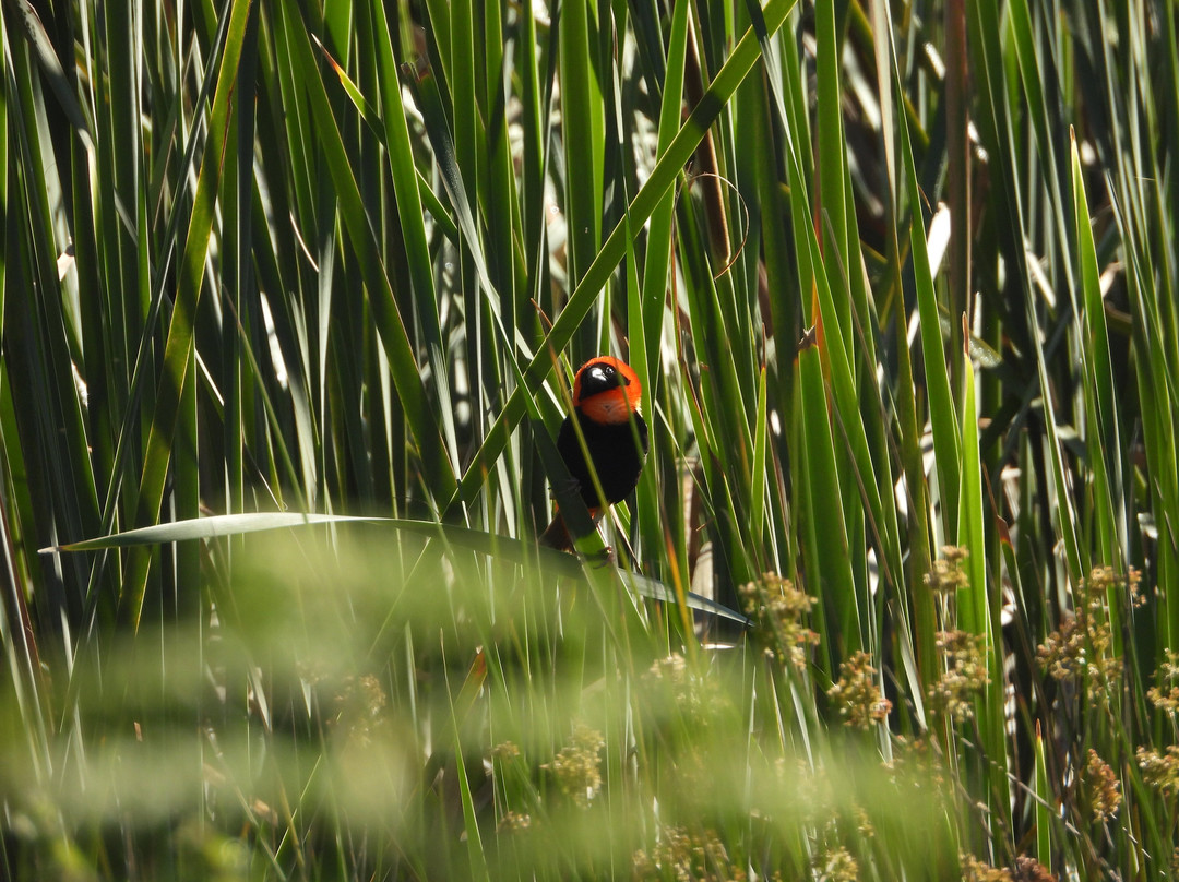 Reflections Eco Reserve主图