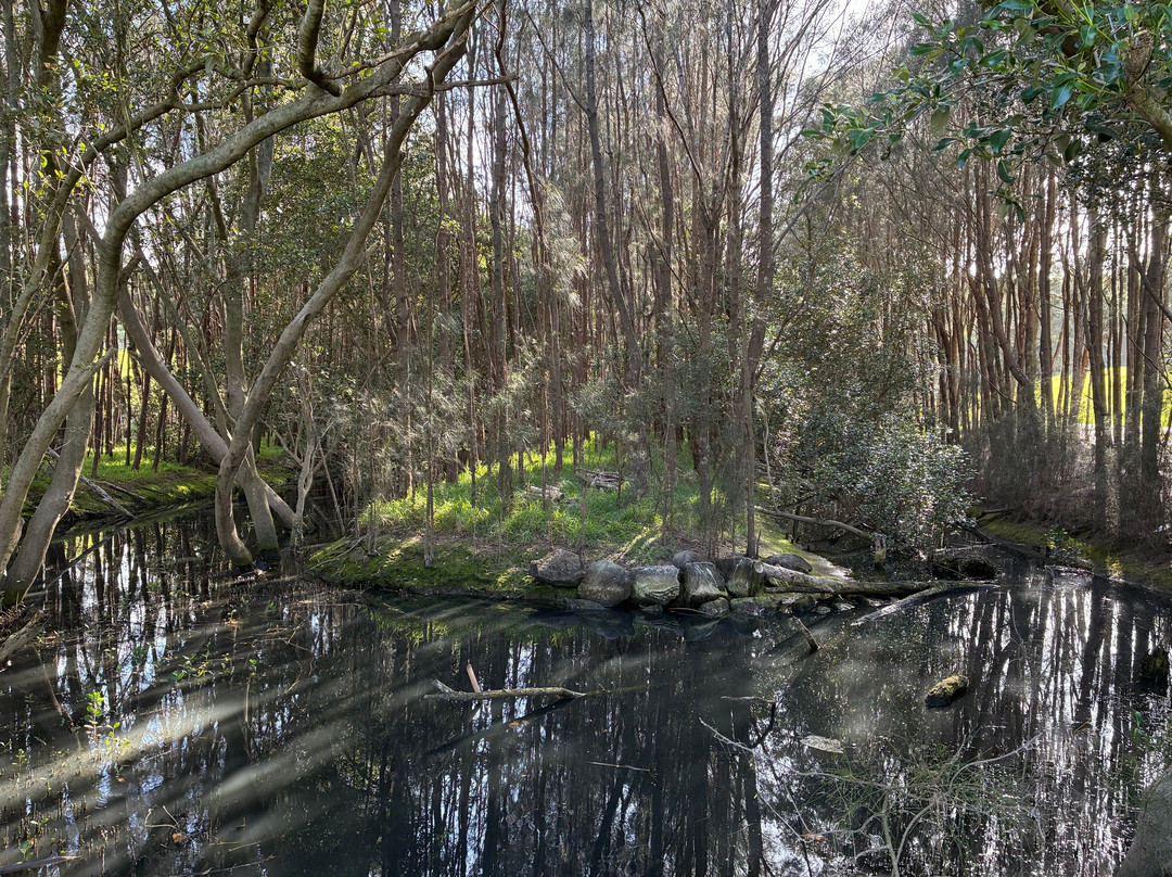 Bicentennial Park-Sydney Olympic Park必去景点