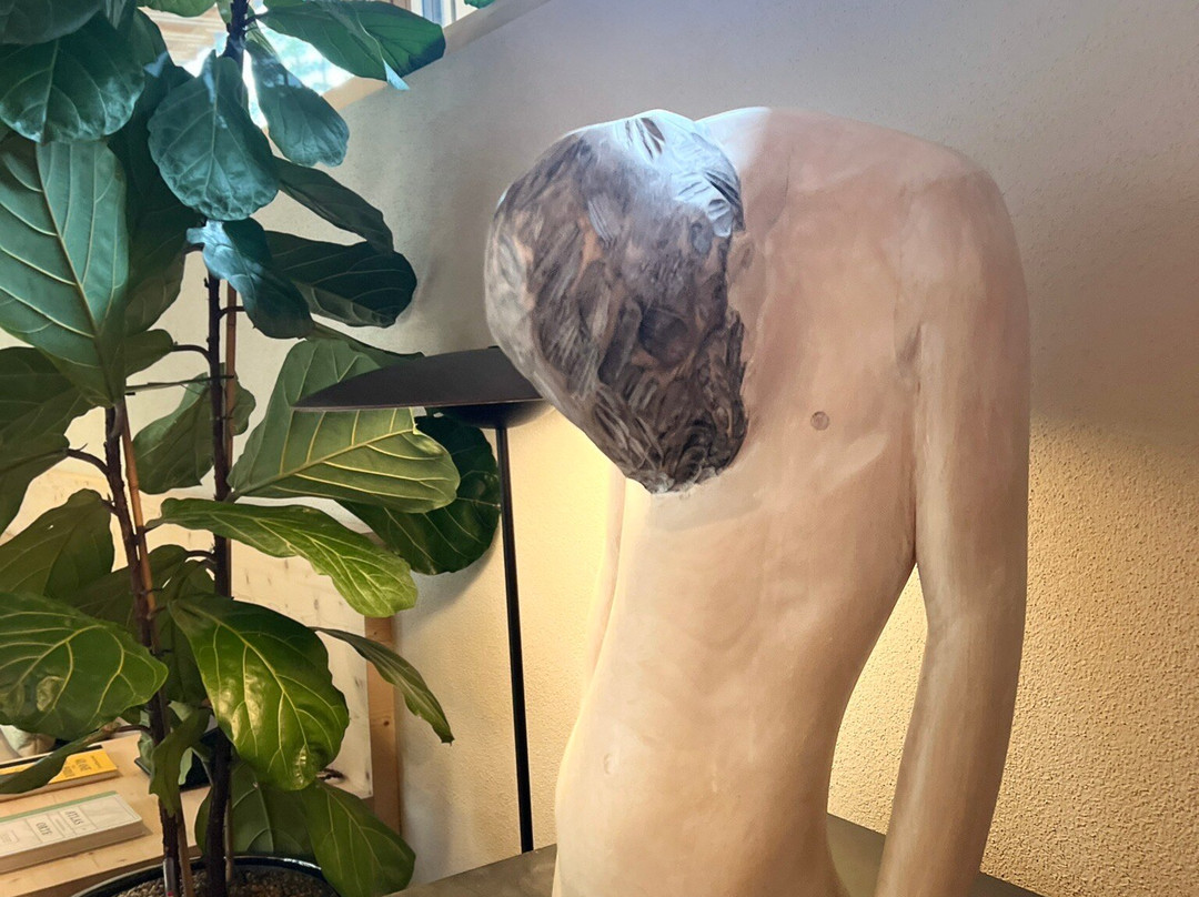 Sensoria Dolomites主图