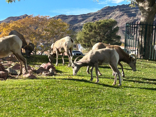 Hemenway Park-博尔德城必去景点