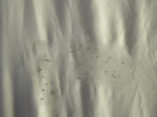 Microtel Inn & Suites by Wyndham Eagan/St Paul主图