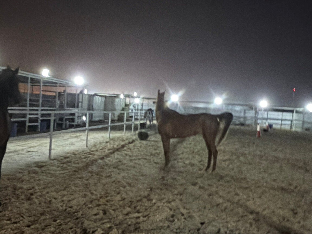 Almarbat-Mesaieed必去景点