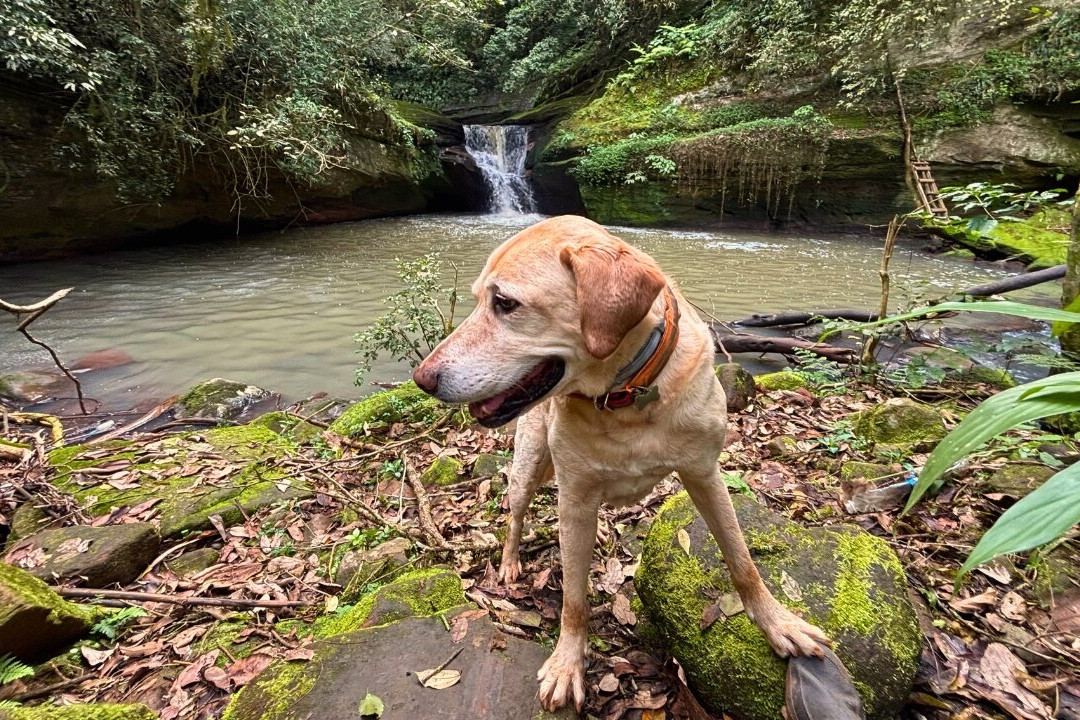 Cascata Dois Irmãos-Dois Irmaos必去景点