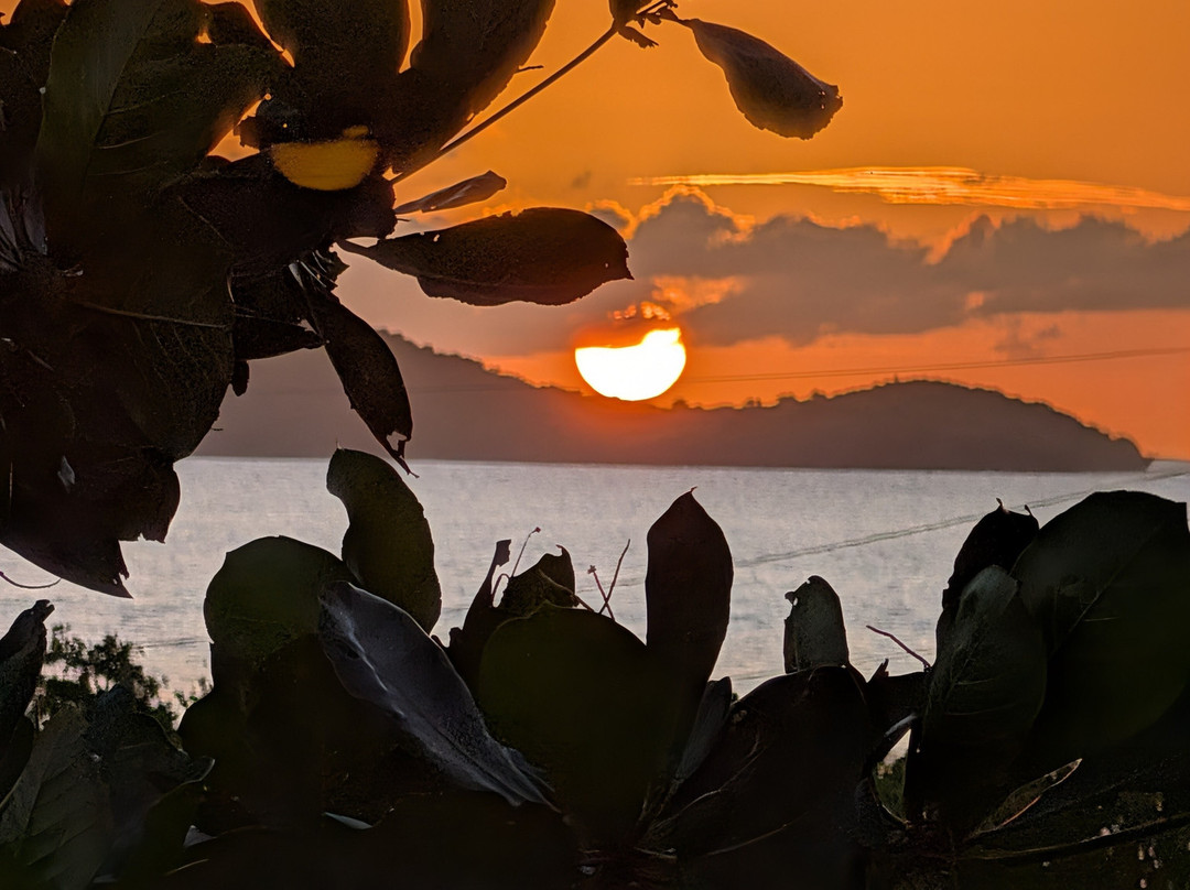 Garden by the Sea B&B主图