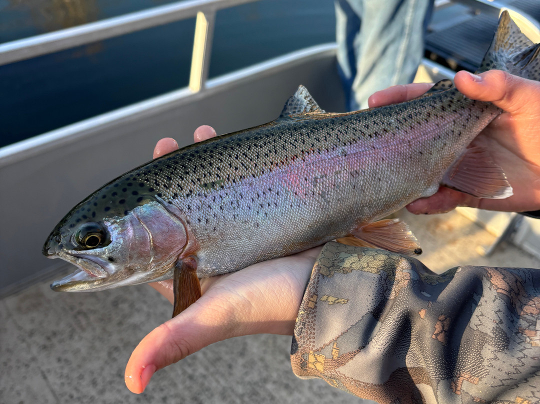 Fish On Set Hook Guide Service-Heber Springs必去景点