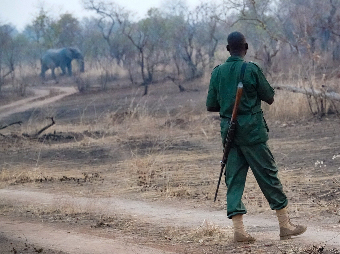 Adventure Birding Tours-特马必去景点
