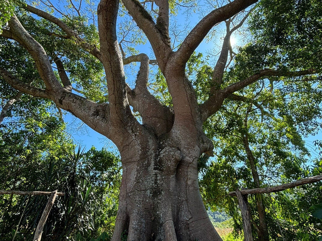 Anna's Travels Huatulco-Santa Maria Huatulco必去景点