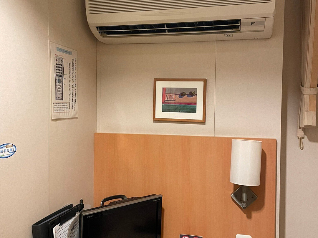 Ferry Sunflower-别府市必去景点