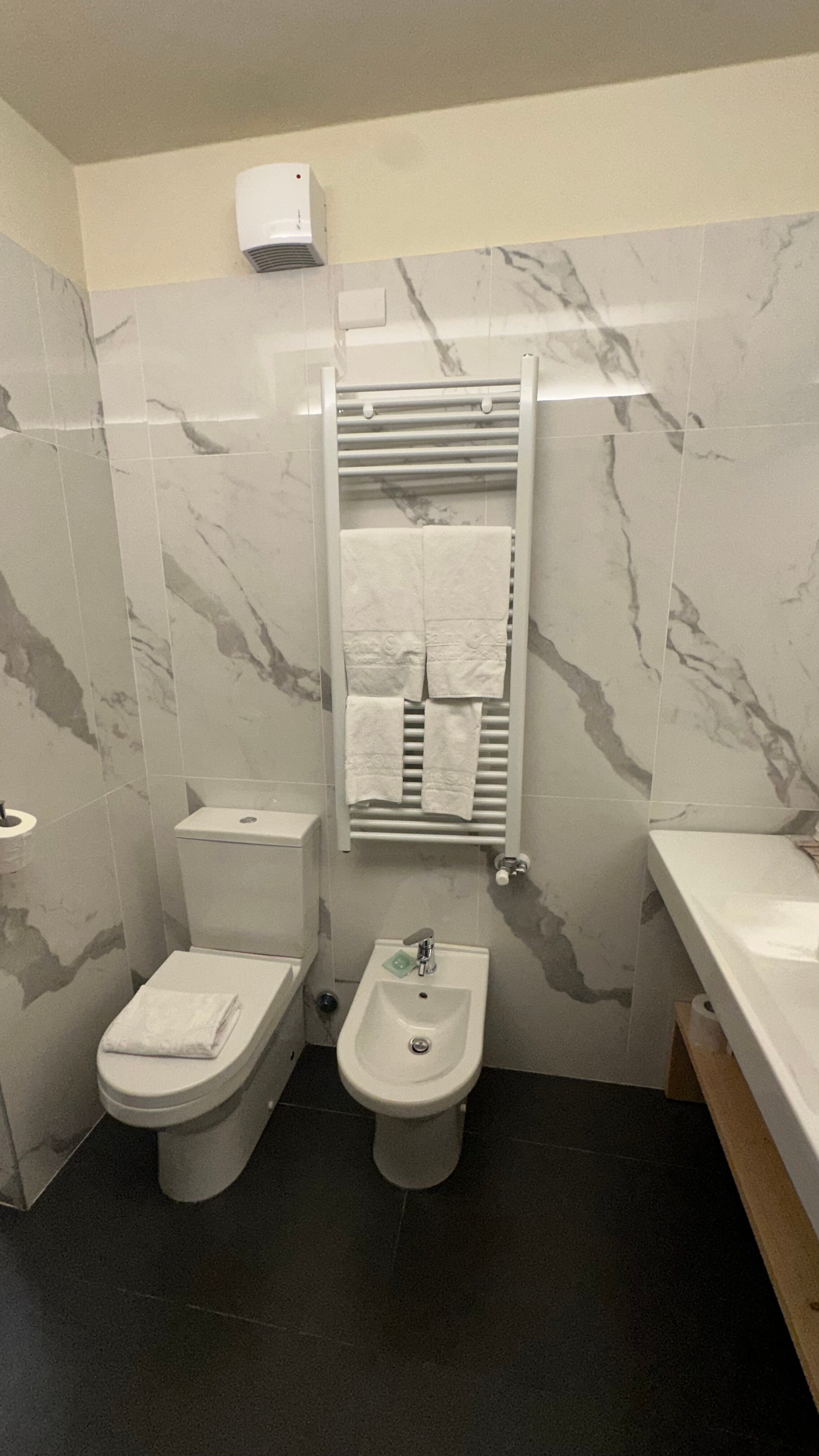 Hotel Piandineve-浴室