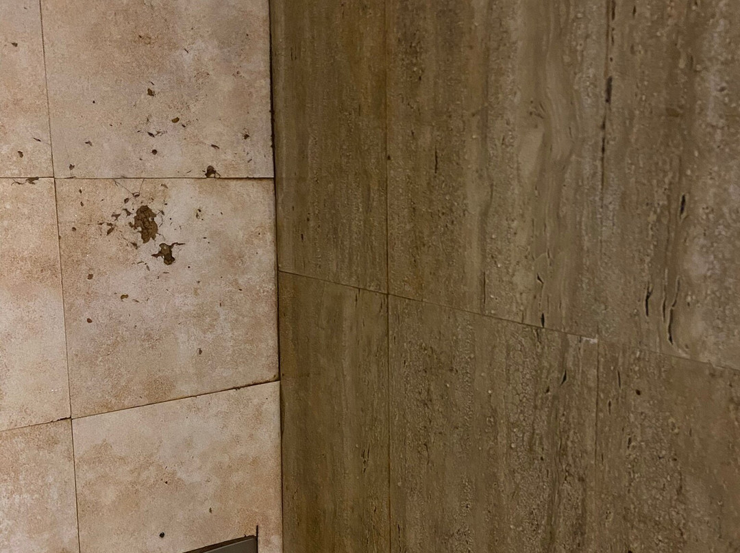 Stone Wood Premier Gokarna主图