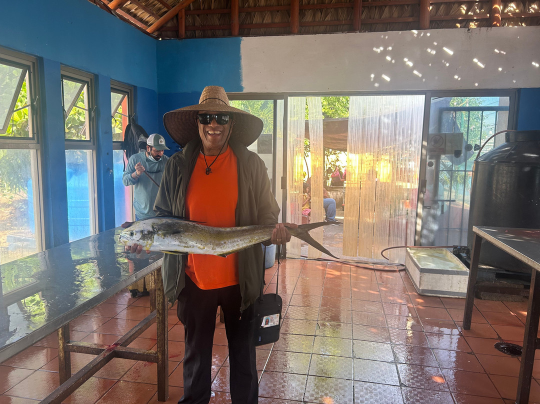 Cabo San Lucas Tours-卡波圣卢卡斯必去景点