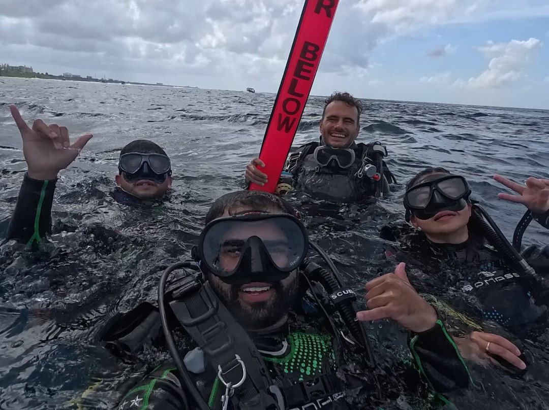 Good Vibes Diving-普拉亚德尔卡曼必去景点