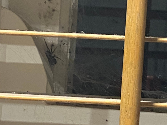 Lake Wendouree Luxury Apartments on Grove主图