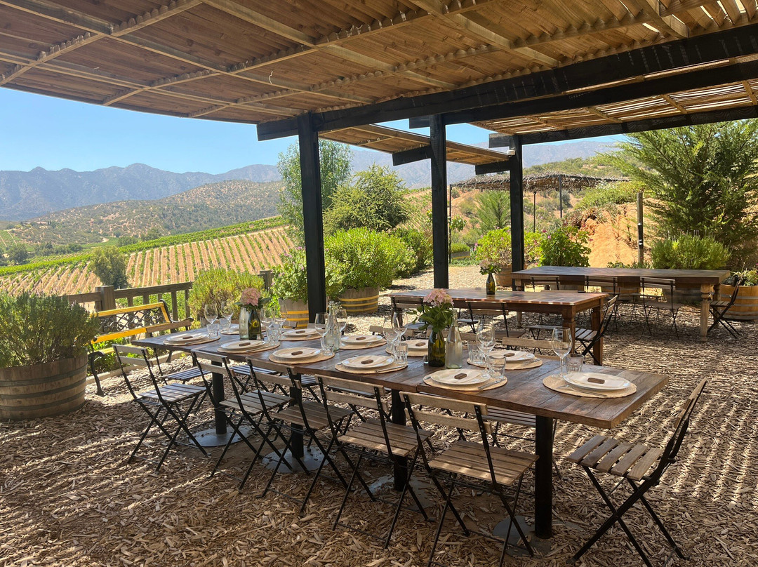 Villard Fine Wines-卡萨布兰卡必去景点