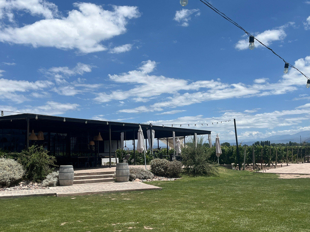 Viamonte Winery-路冉得库约必去景点