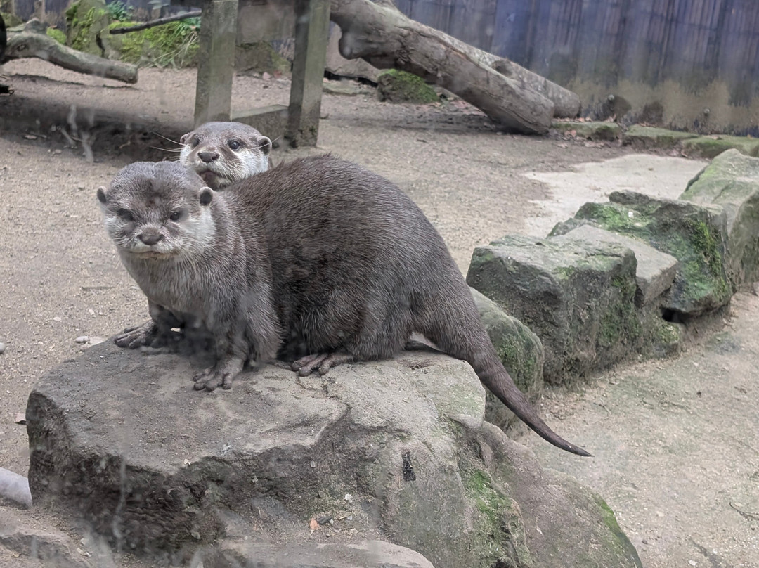 Ponderosa Zoo-Heckmondwike必去景点