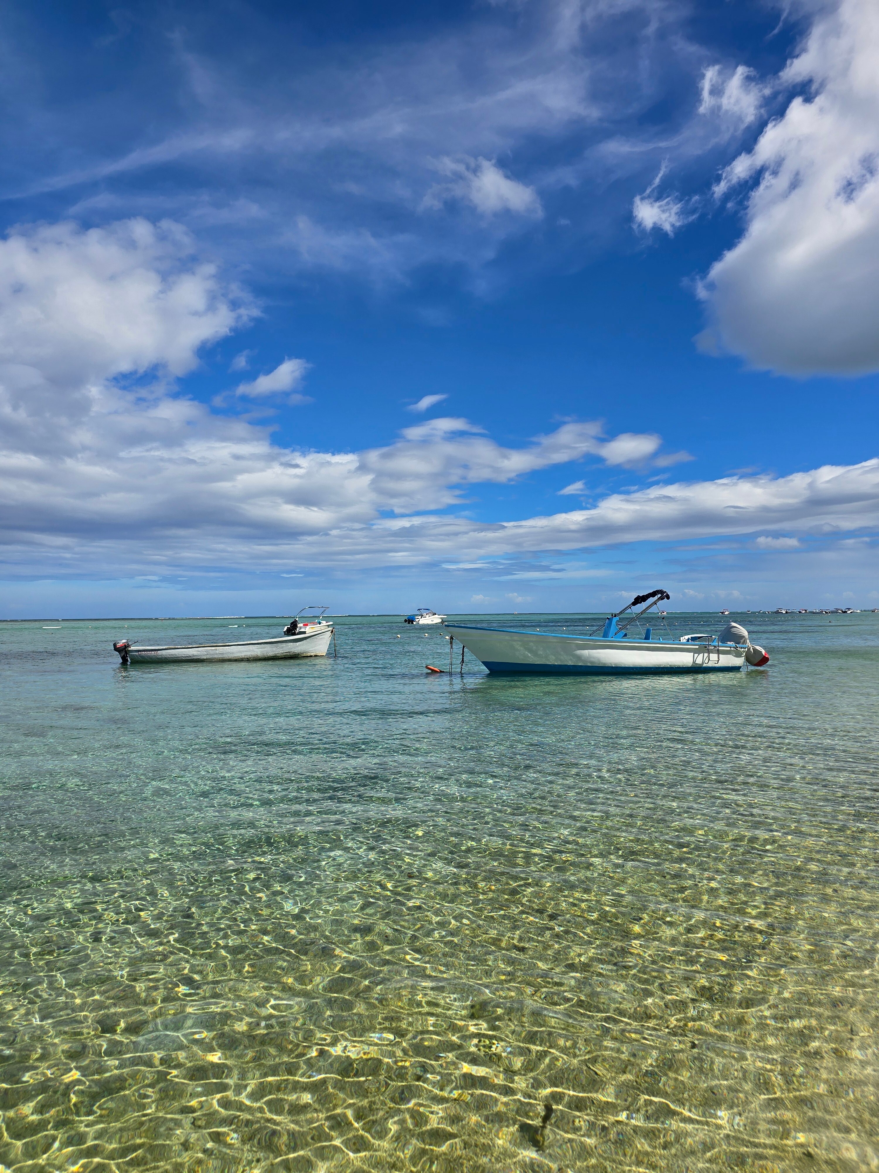 莫纳山丽世度假酒店-泳池